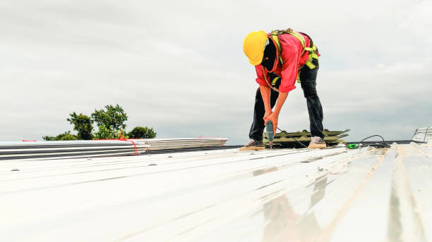 Best Rubber Roofing (EPDM, TPO)  in Danville, CA